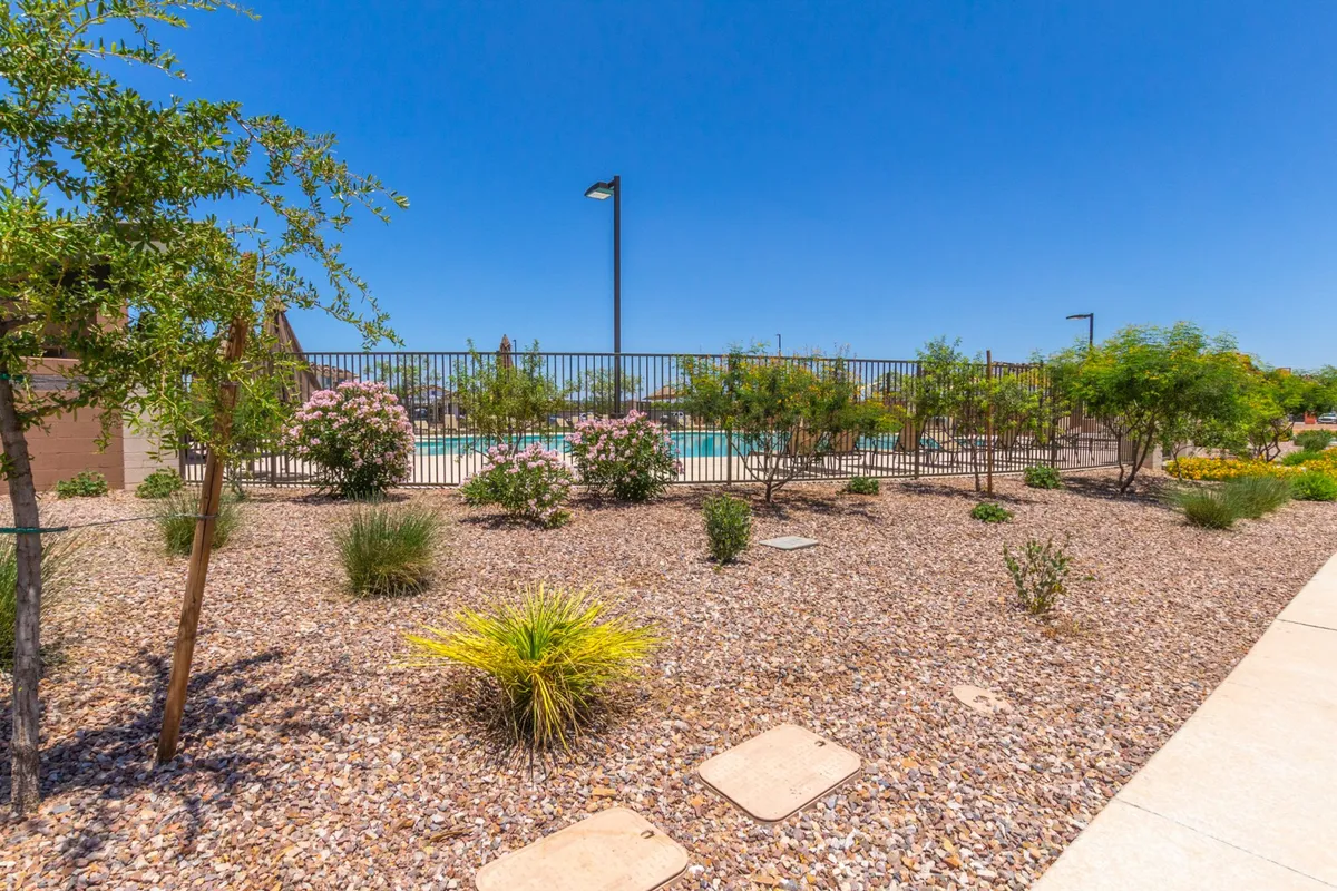 A tranquil outdoor swimming pool is surrounded by flowering shrubs and a landscaped gravel area. The scene is sun-drenched, inviting residents for a swim or relaxation by the water under Arizona's bright skies.